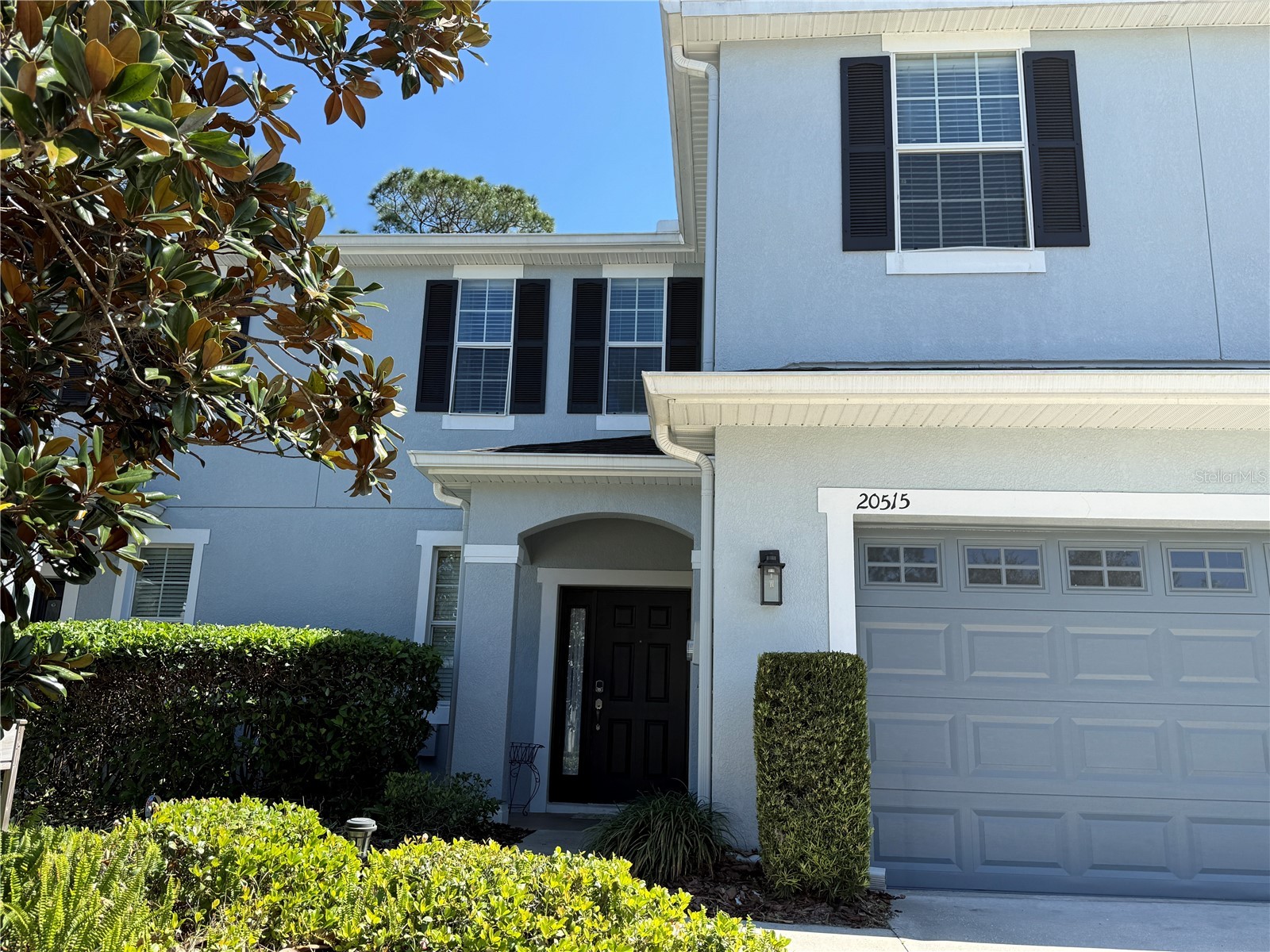 20515 Grand Vista Lane Tampa FL 33647 TB8489000 image28