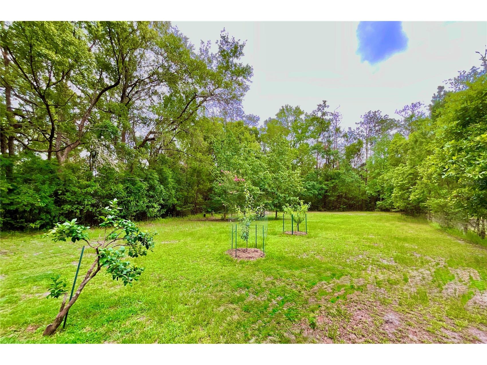 20517 NE 114th Avenue Waldo FL 32694 - LITTLE LAKE SANTA FE GC541132 image30
