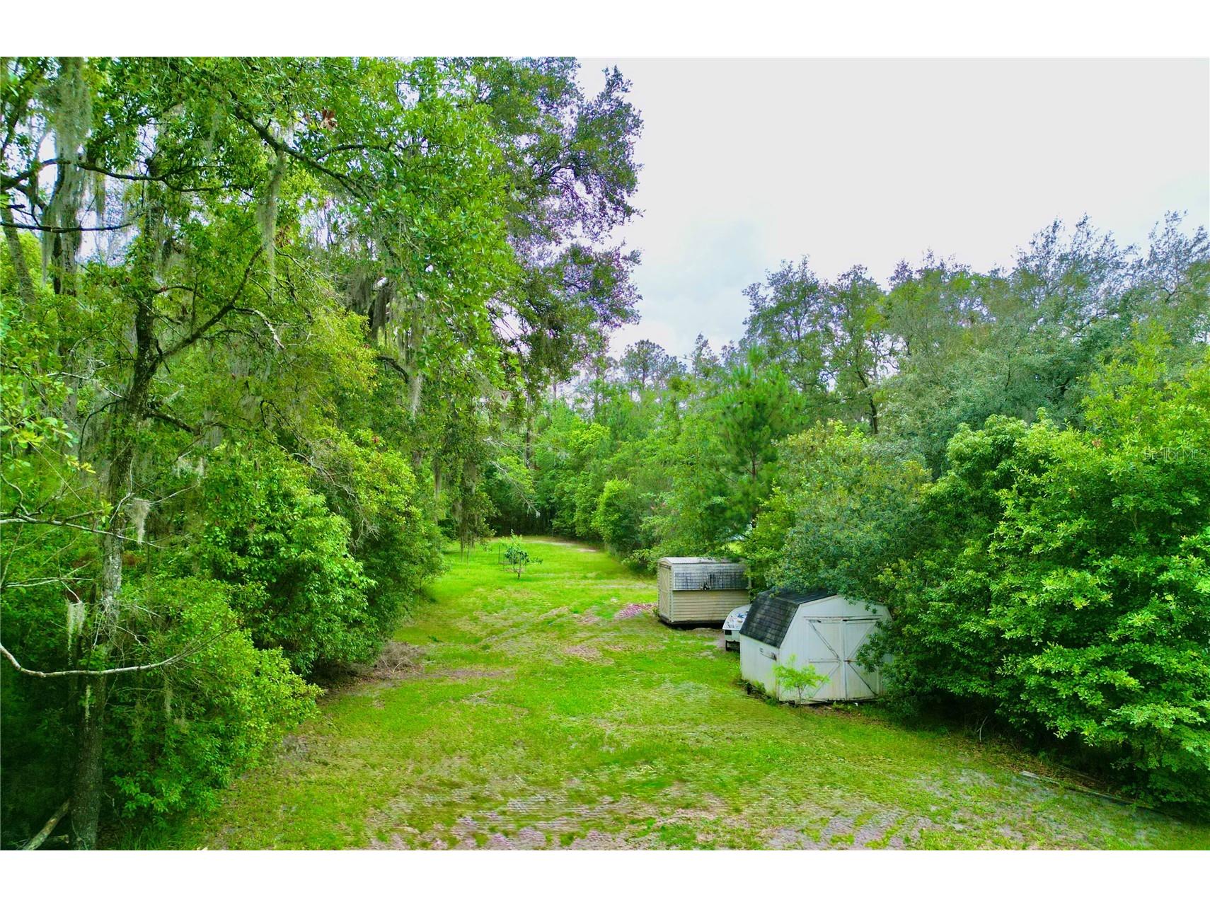 20517 NE 114th Avenue Waldo FL 32694 - LITTLE LAKE SANTA FE GC541132 image36