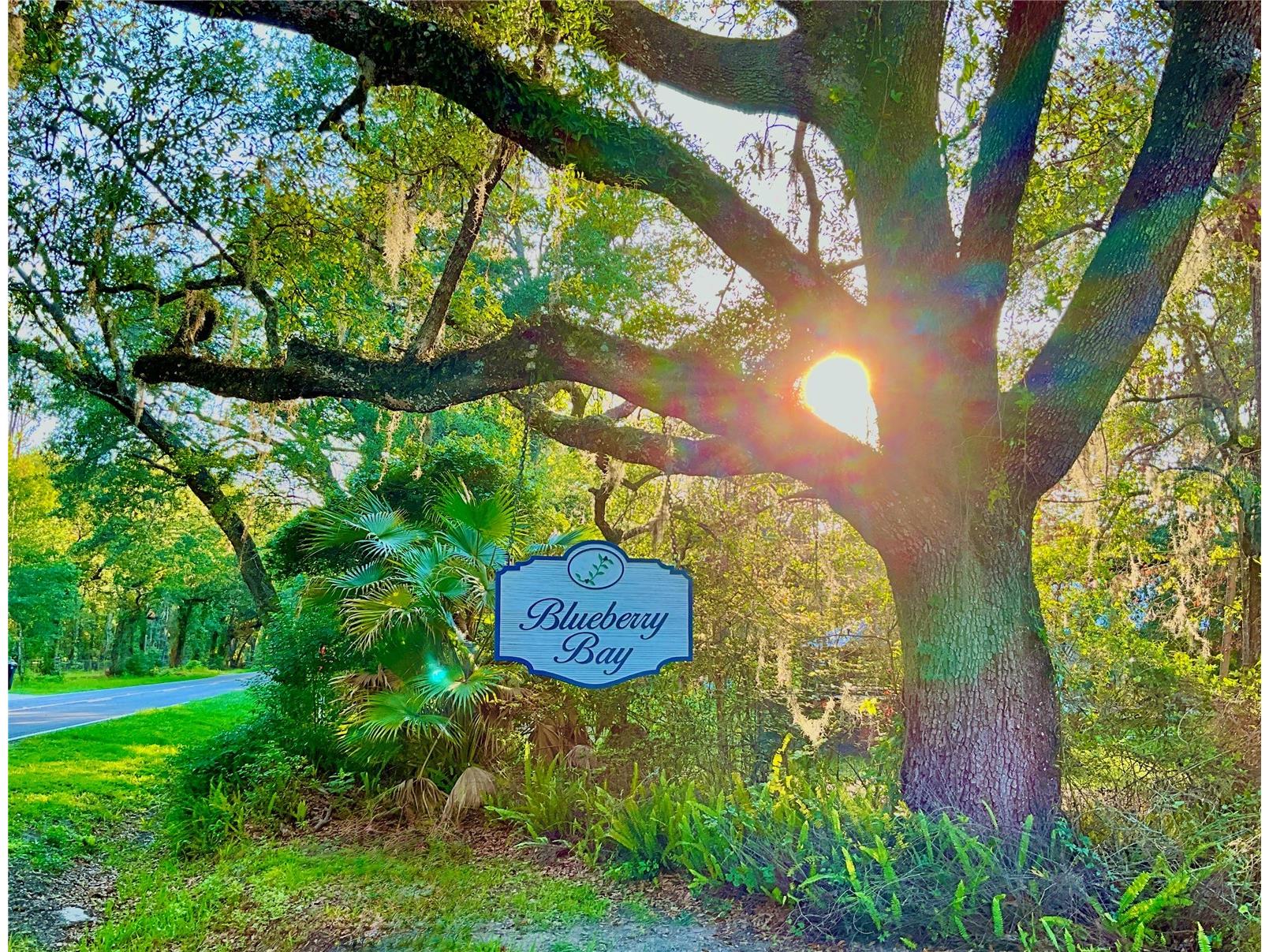 20517 NE 114th Avenue Waldo FL 32694 - LITTLE LAKE SANTA FE GC541132 image38