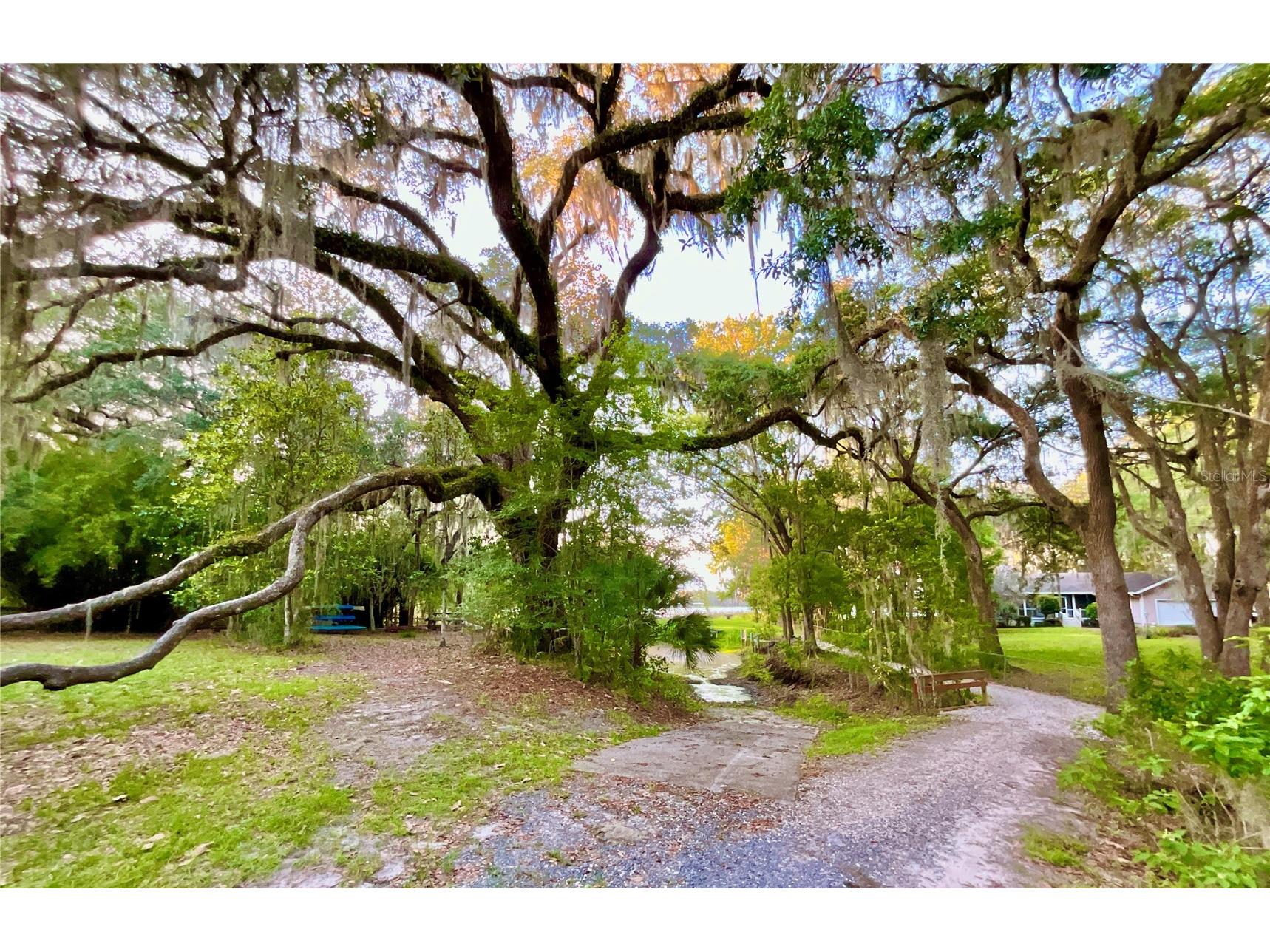 20517 NE 114th Avenue Waldo FL 32694 - LITTLE LAKE SANTA FE GC541132 image39