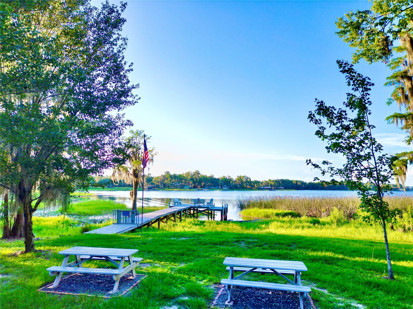 20517 NE 114th Avenue Waldo FL 32694 - LITTLE LAKE SANTA FE GC541132 image41