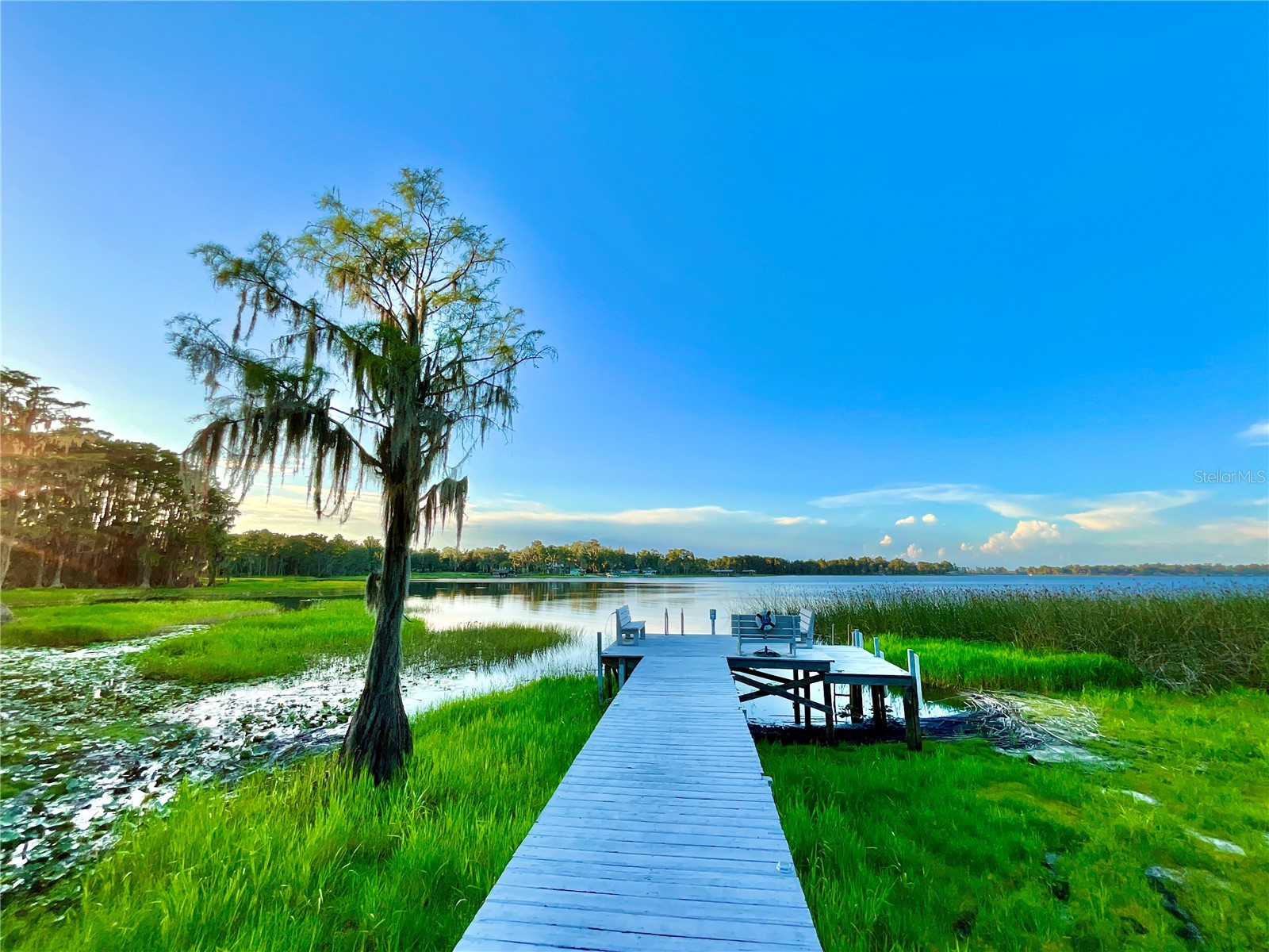 20517 NE 114th Avenue Waldo FL 32694 - LITTLE LAKE SANTA FE GC541132 image42