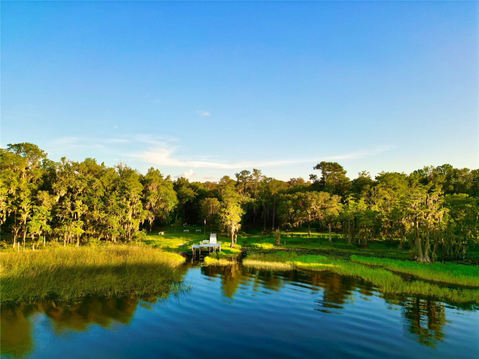 20517 NE 114th Avenue Waldo FL 32694 - LITTLE LAKE SANTA FE GC541132 image45
