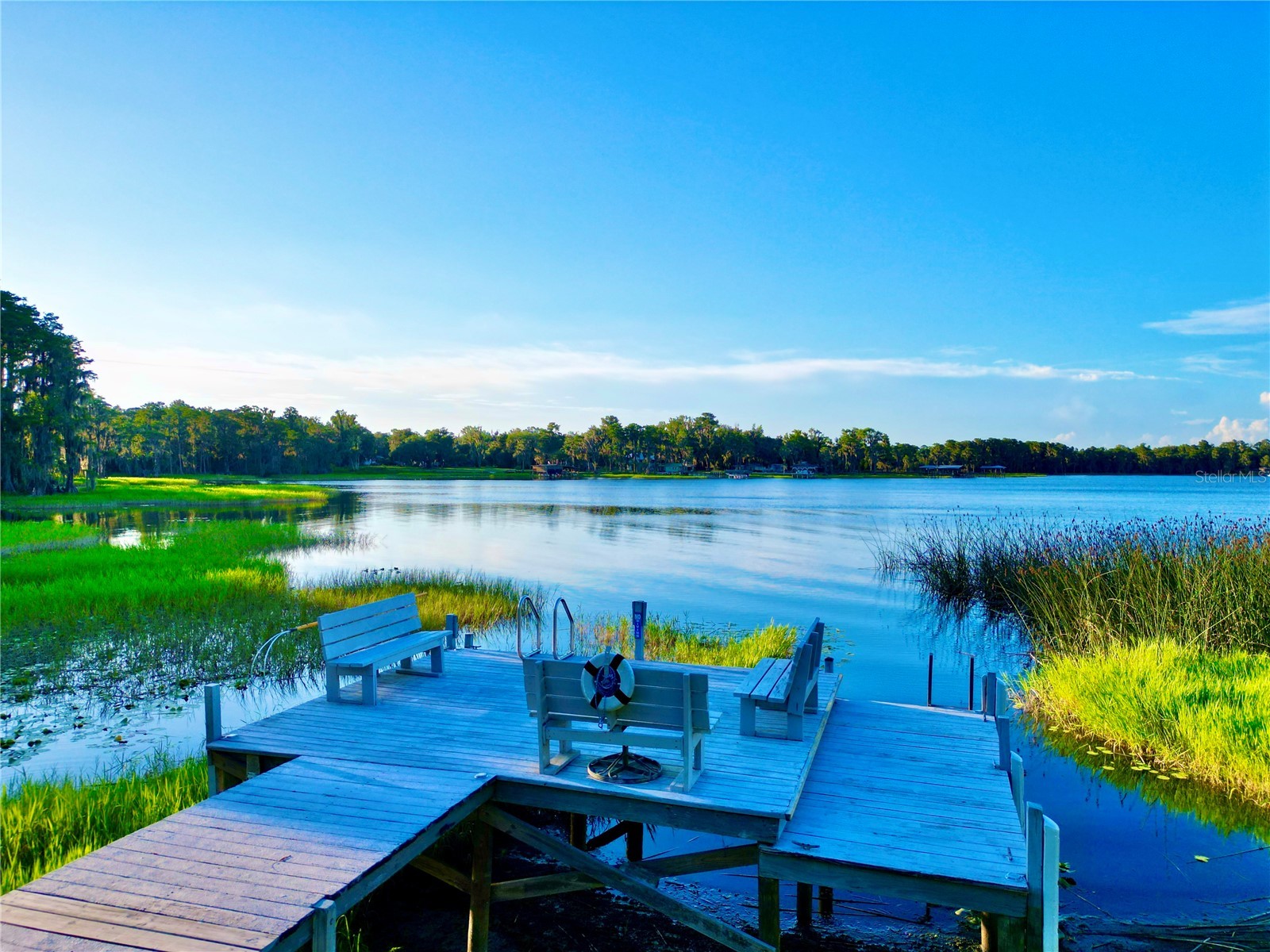 20517 NE 114th Avenue Waldo FL 32694 - LITTLE LAKE SANTA FE GC541132 image46