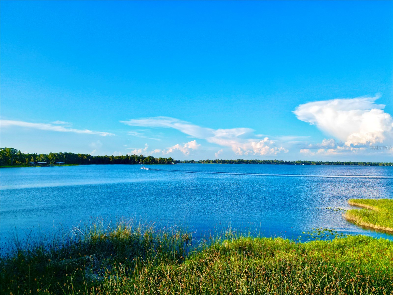20517 NE 114th Avenue Waldo FL 32694 - LITTLE LAKE SANTA FE GC541132 image48