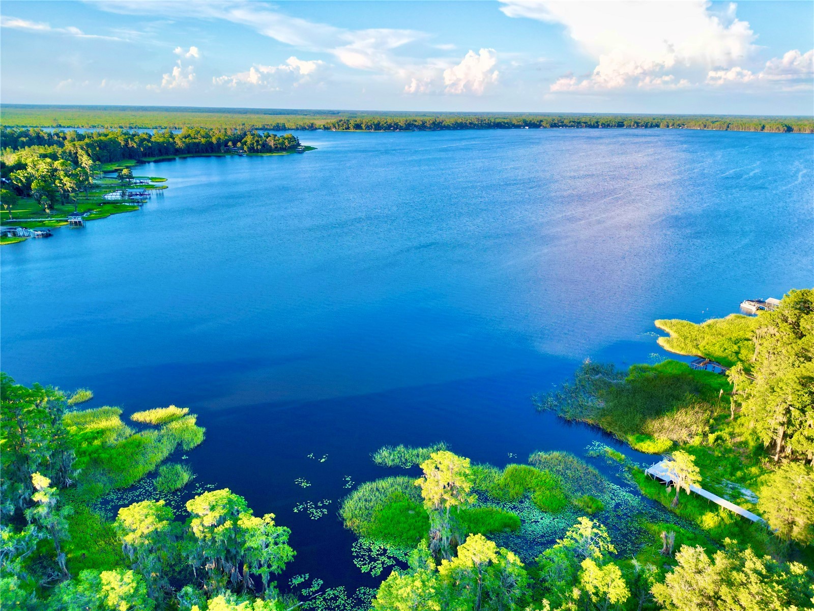 20517 NE 114th Avenue Waldo FL 32694 - LITTLE LAKE SANTA FE GC541132 image51