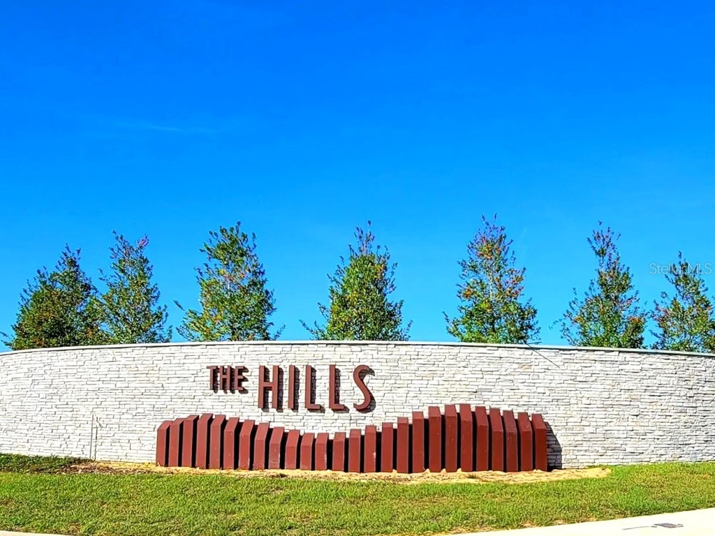 2052 Axel Street Minneola FL 34715 S5137668 image19