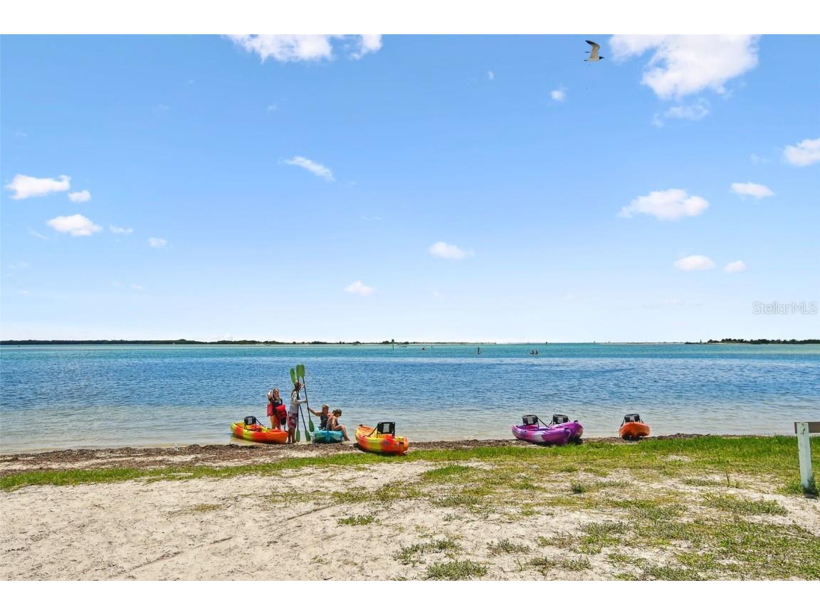 2052 Jefferson Avenue Dunedin FL 34698 TB8450339 image37