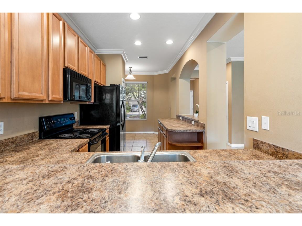 2052 Park Crescent Drive Land O Lakes FL 34639 TB8455062 image15