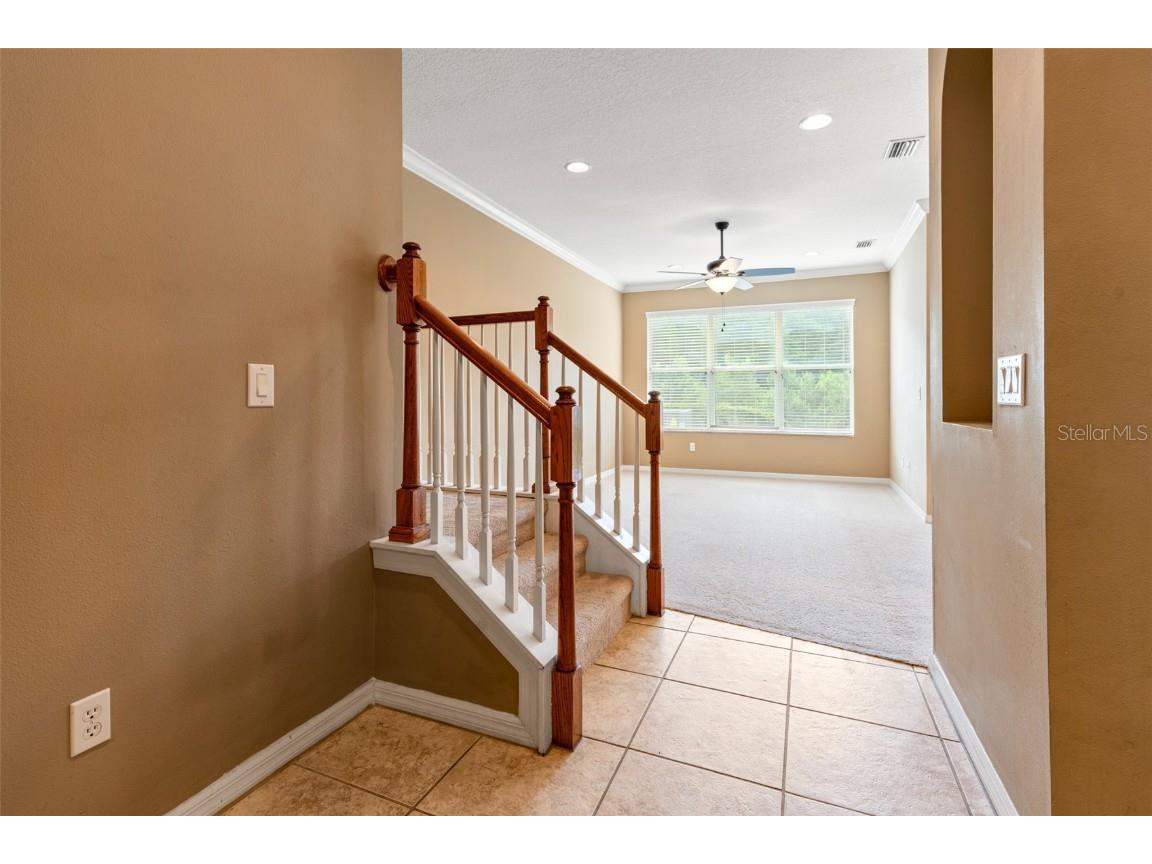 2052 Park Crescent Drive Land O Lakes FL 34639 TB8455062 image17