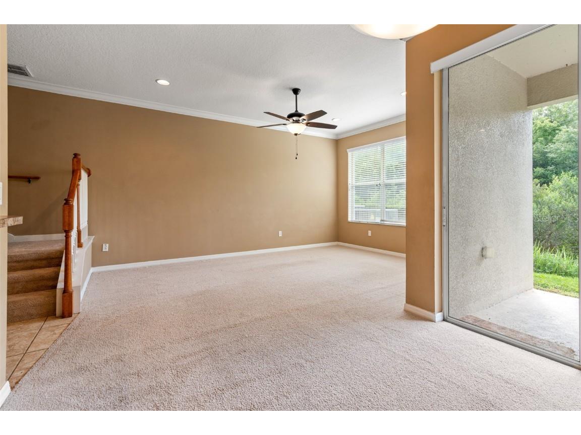 2052 Park Crescent Drive Land O Lakes FL 34639 TB8455062 image20