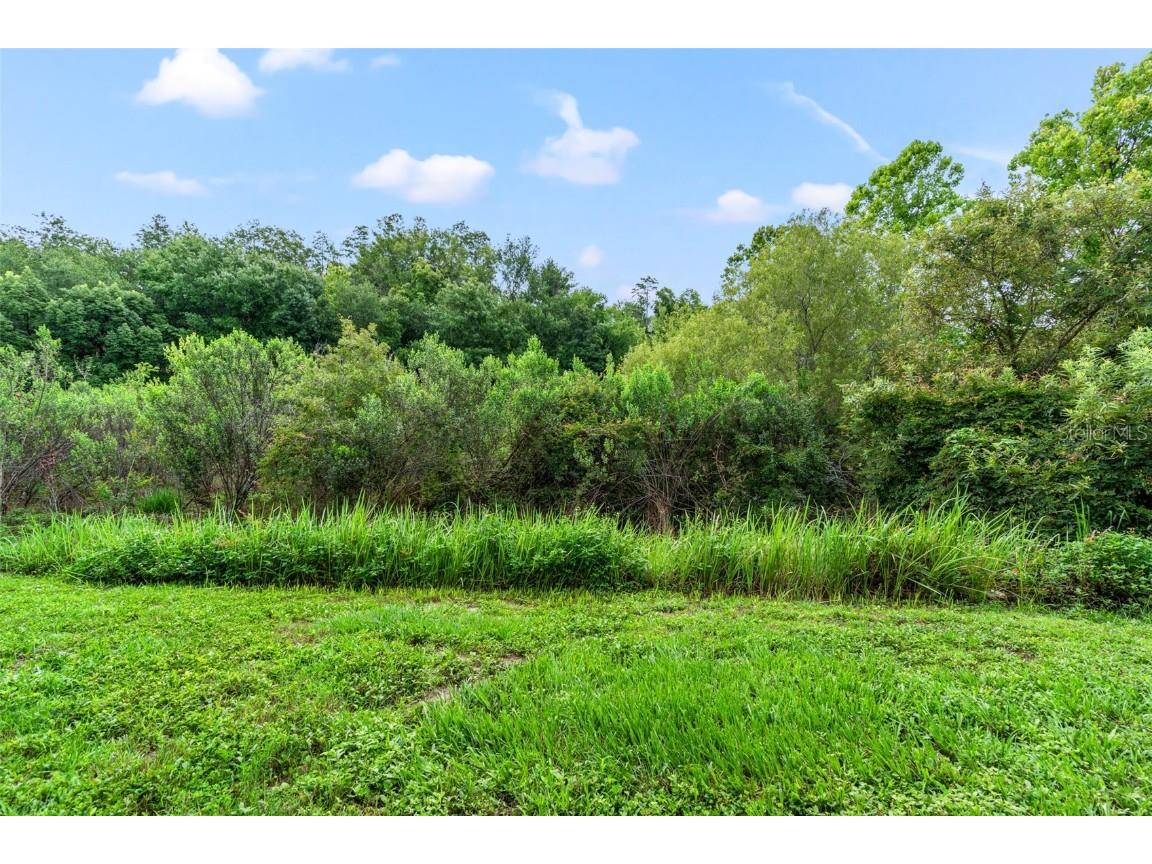 2052 Park Crescent Drive Land O Lakes FL 34639 TB8455062 image23