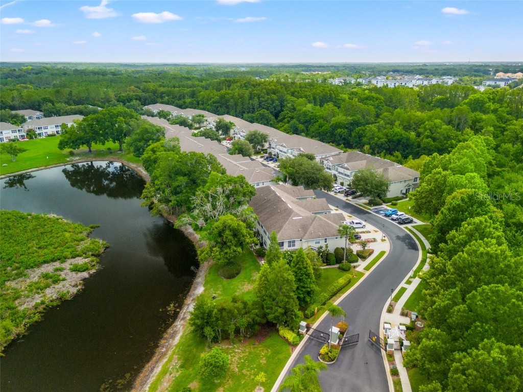 2052 Park Crescent Drive Land O Lakes FL 34639 TB8455062 image39