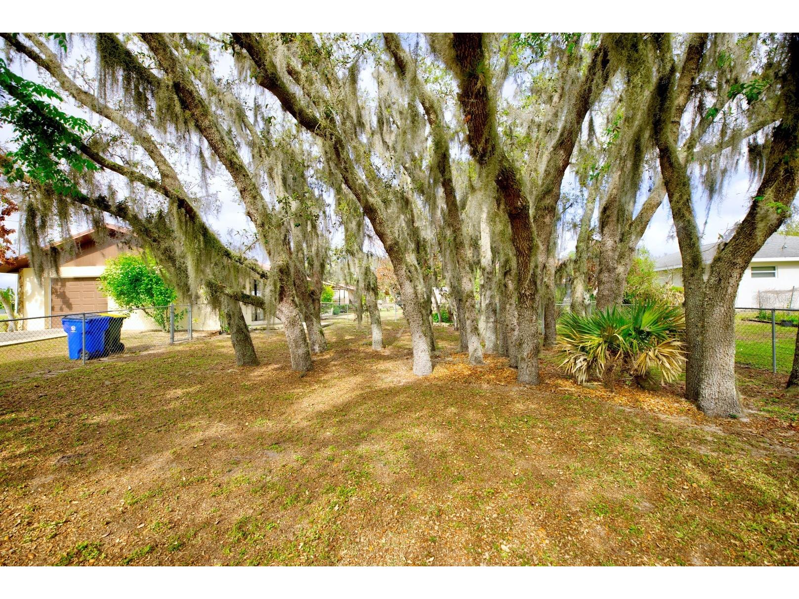 2052 W Stryker Road Avon Park FL 33825 L4959872 image42