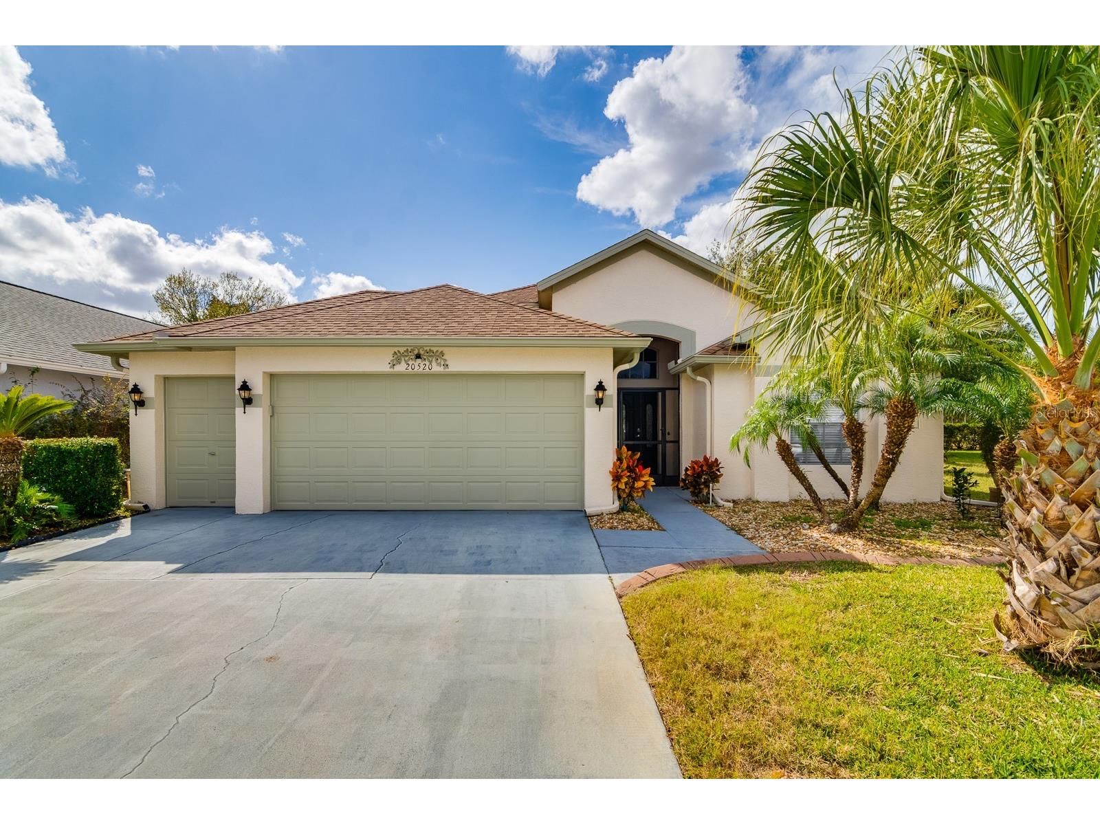 20520 Homossasa Court Land O Lakes FL 34637 TB8467488 image1
