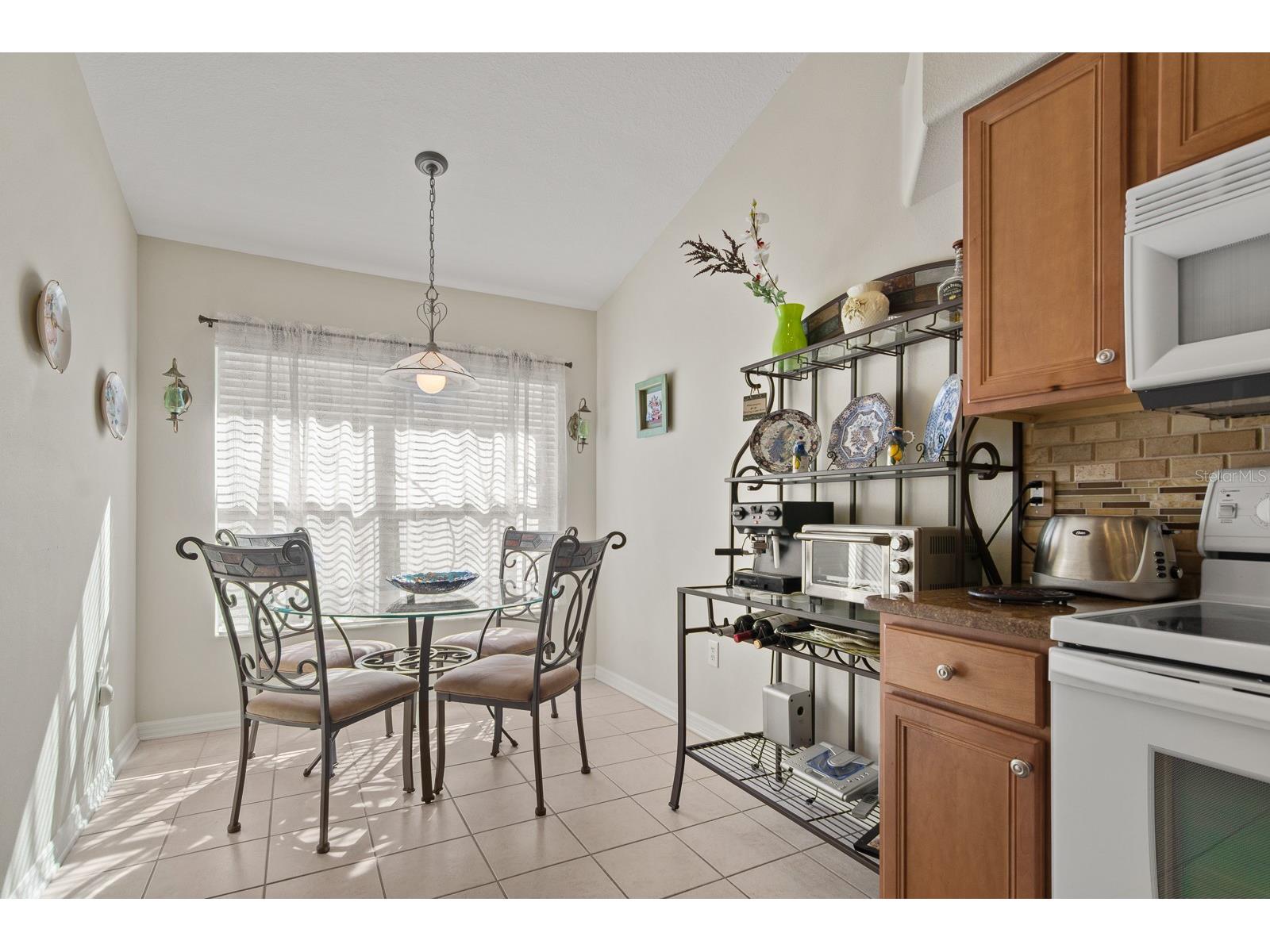 20520 Homossasa Court Land O Lakes FL 34637 TB8467488 image15