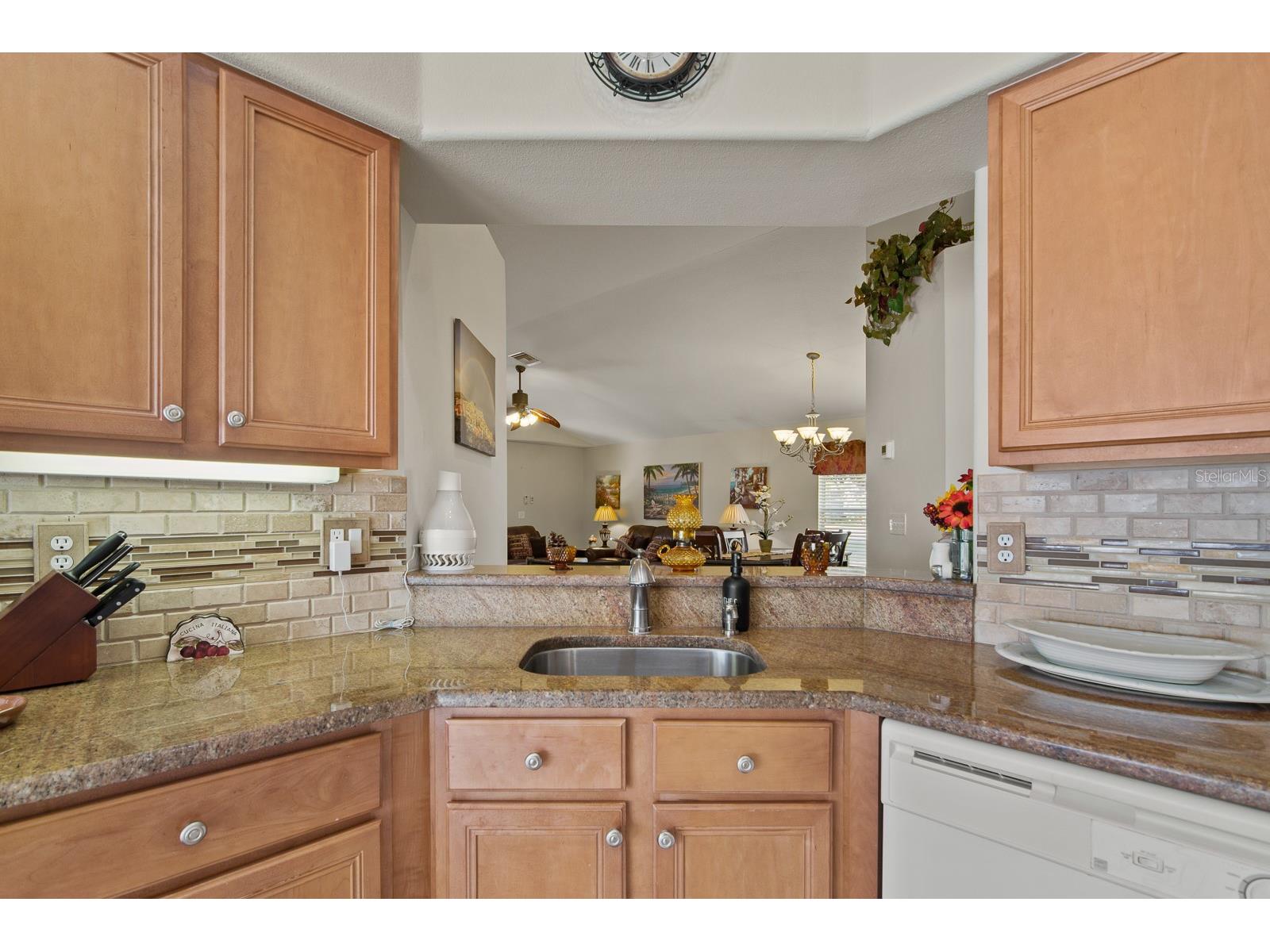 20520 Homossasa Court Land O Lakes FL 34637 TB8467488 image19