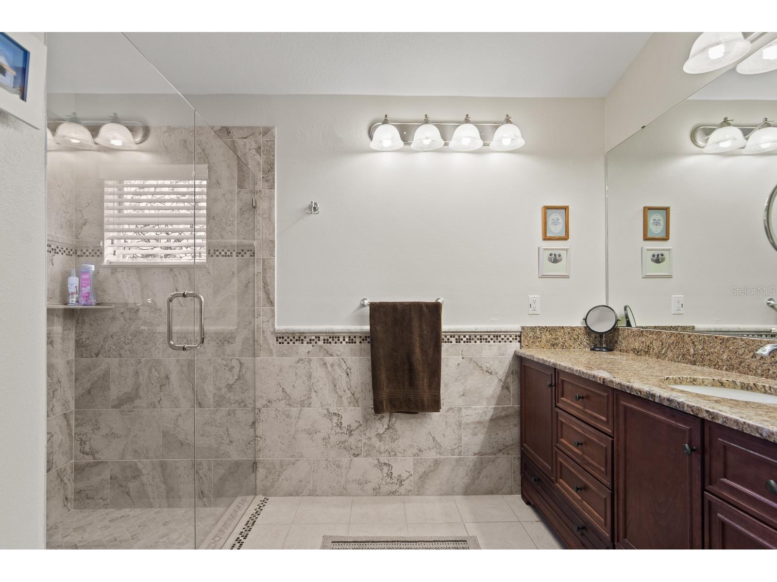 20520 Homossasa Court Land O Lakes FL 34637 TB8467488 image24