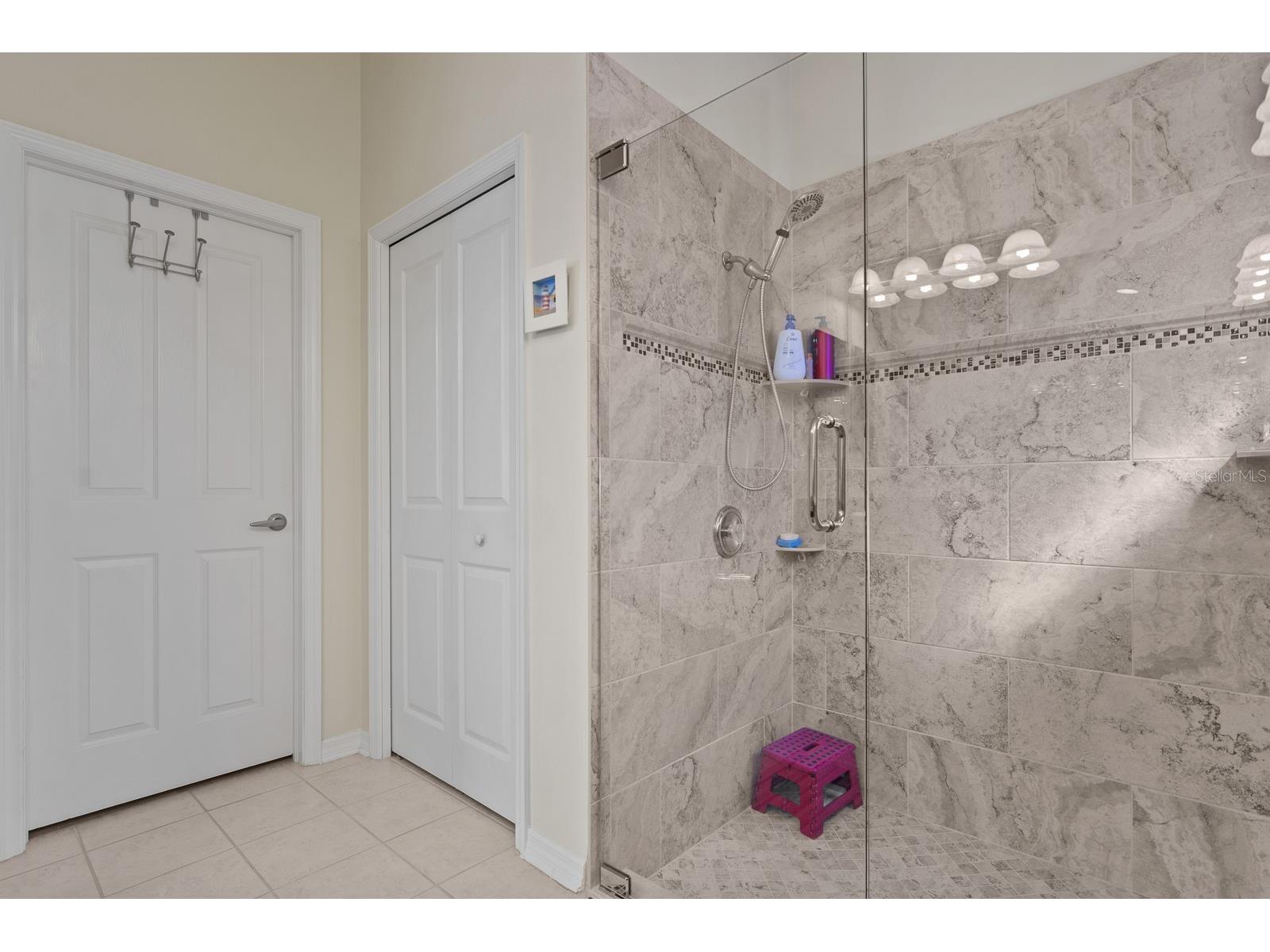 20520 Homossasa Court Land O Lakes FL 34637 TB8467488 image29