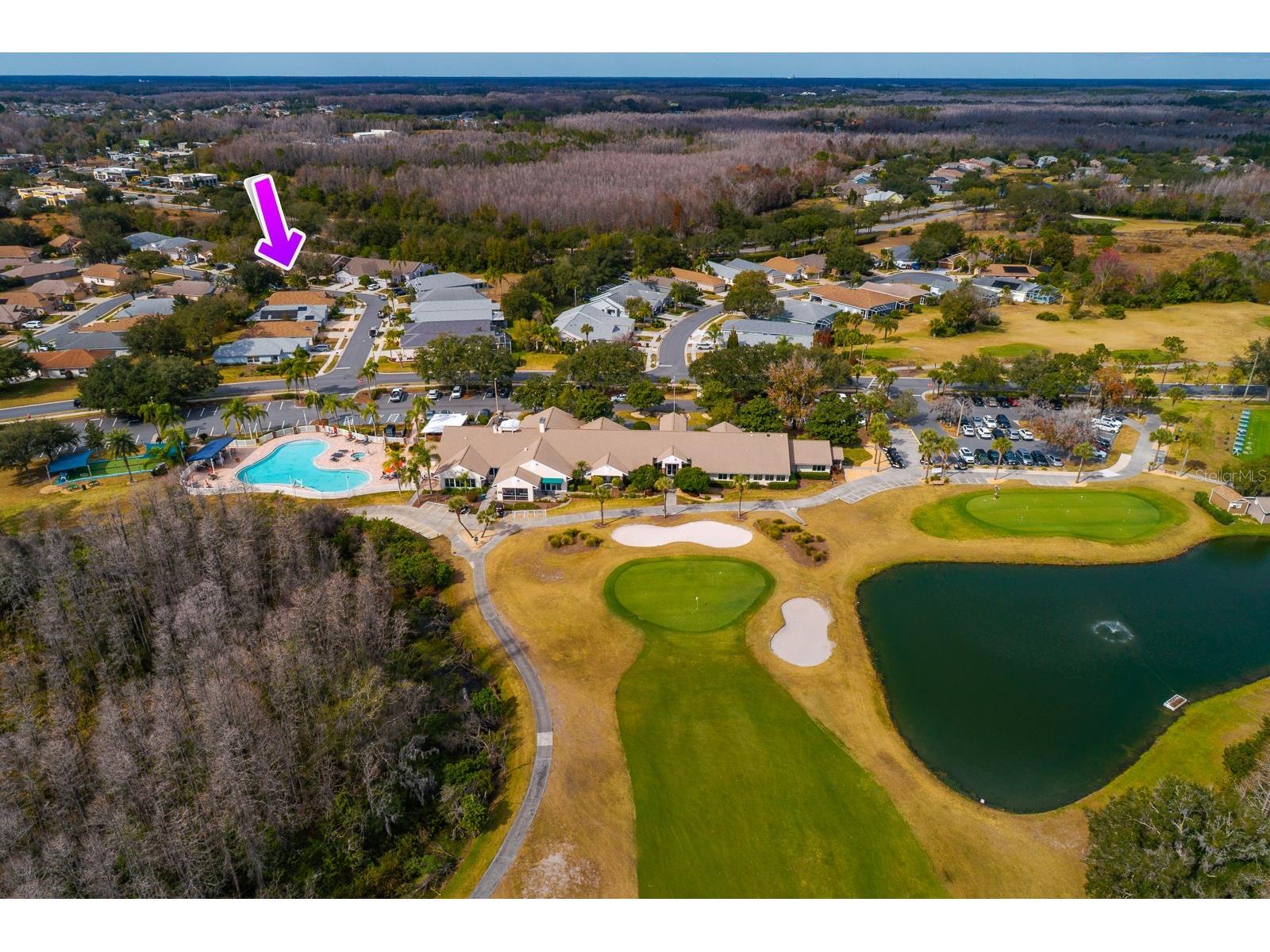 20520 Homossasa Court Land O Lakes FL 34637 TB8467488 image3