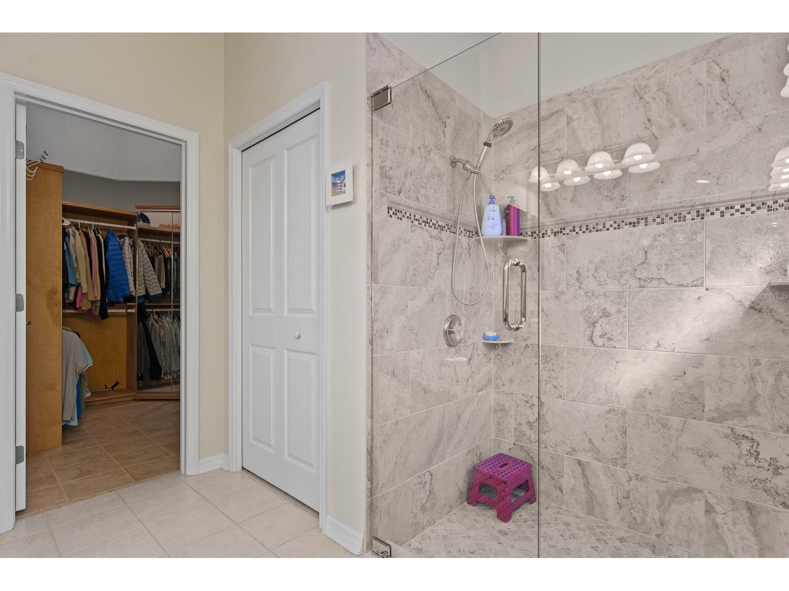 20520 Homossasa Court Land O Lakes FL 34637 TB8467488 image31