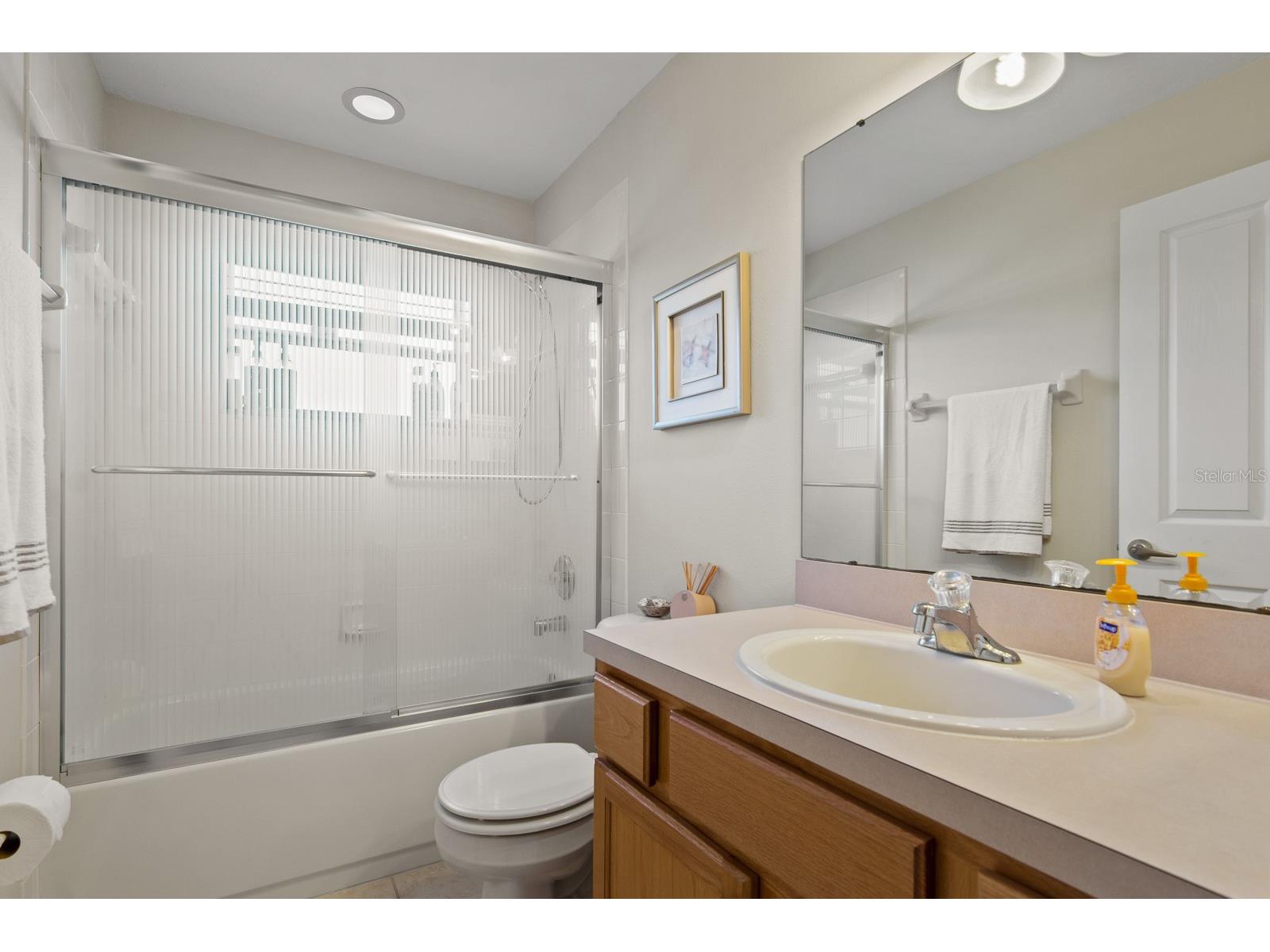 20520 Homossasa Court Land O Lakes FL 34637 TB8467488 image35