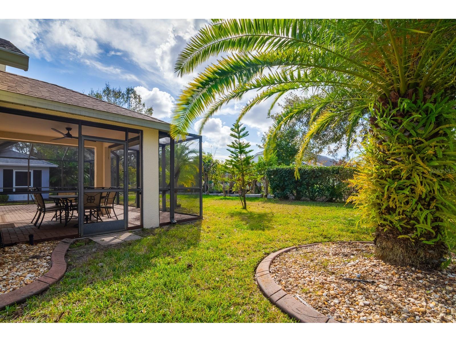 20520 Homossasa Court Land O Lakes FL 34637 TB8467488 image38