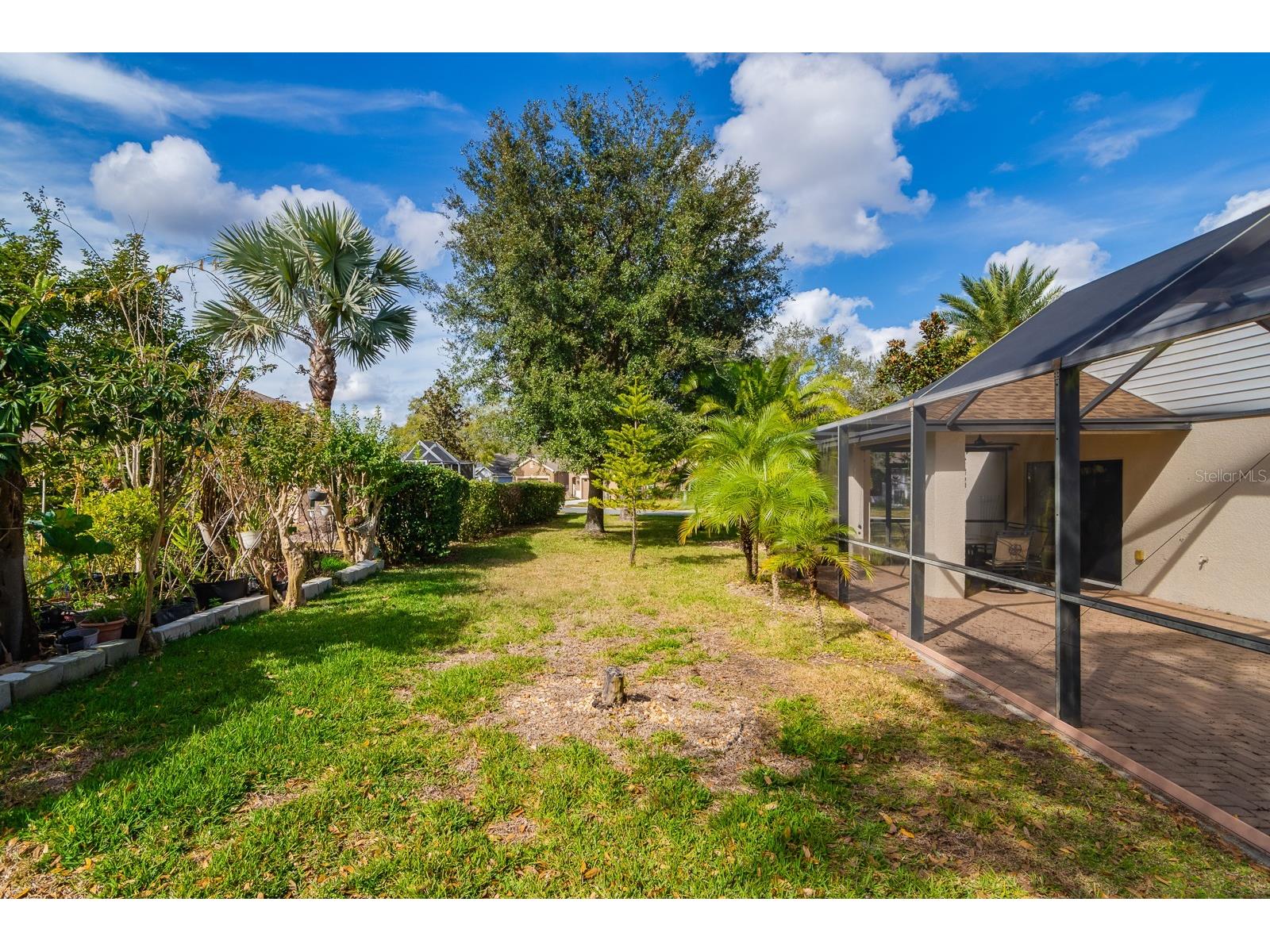 20520 Homossasa Court Land O Lakes FL 34637 TB8467488 image39