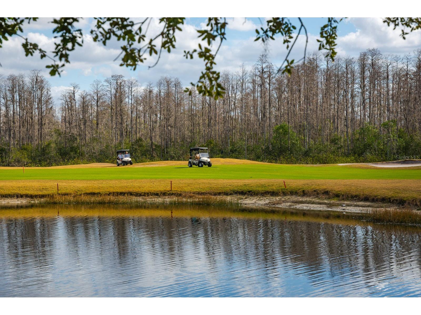 20520 Homossasa Court Land O Lakes FL 34637 TB8467488 image4