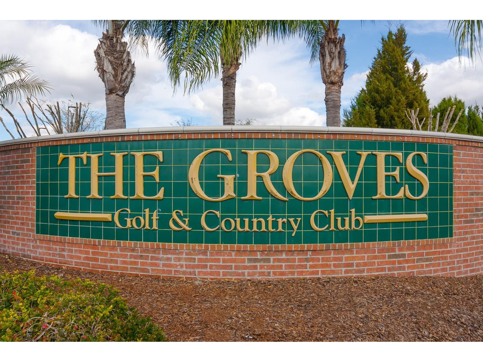 20520 Homossasa Court Land O Lakes FL 34637 TB8467488 image46