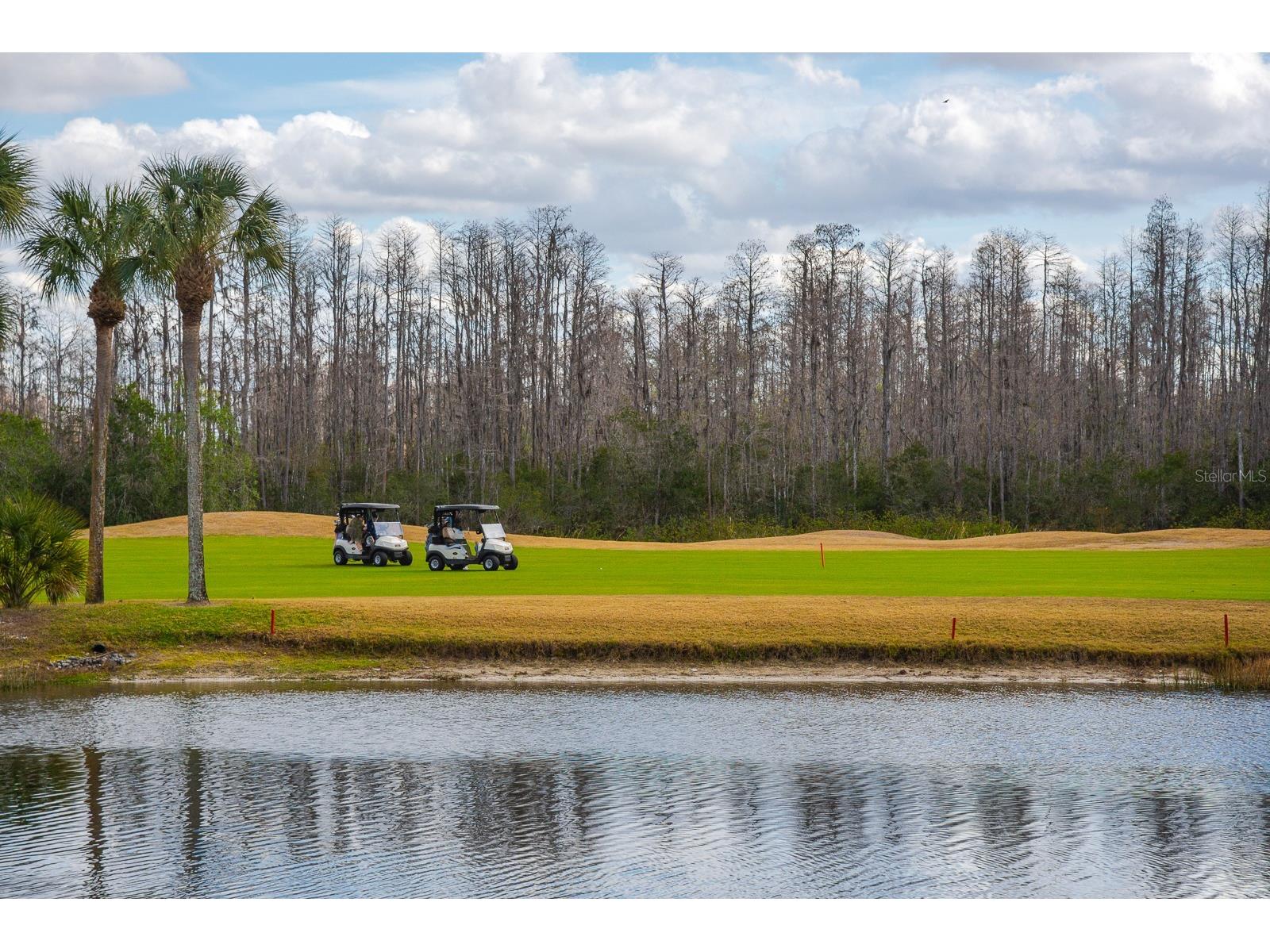 20520 Homossasa Court Land O Lakes FL 34637 TB8467488 image48