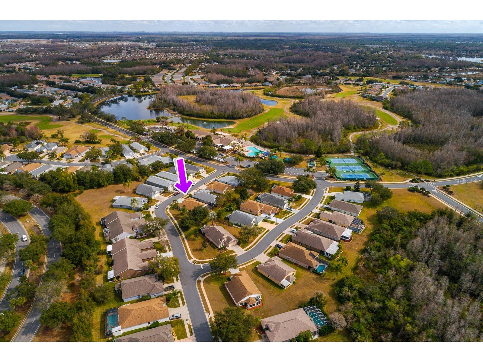 20520 Homossasa Court Land O Lakes FL 34637 TB8467488 image49