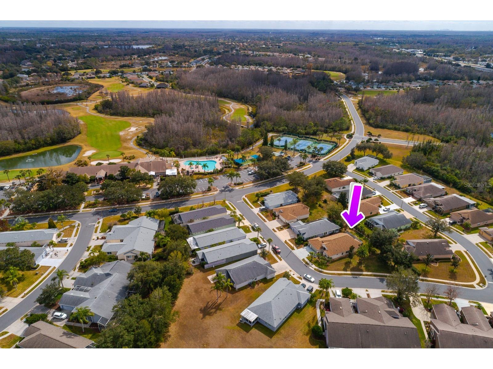 20520 Homossasa Court Land O Lakes FL 34637 TB8467488 image50