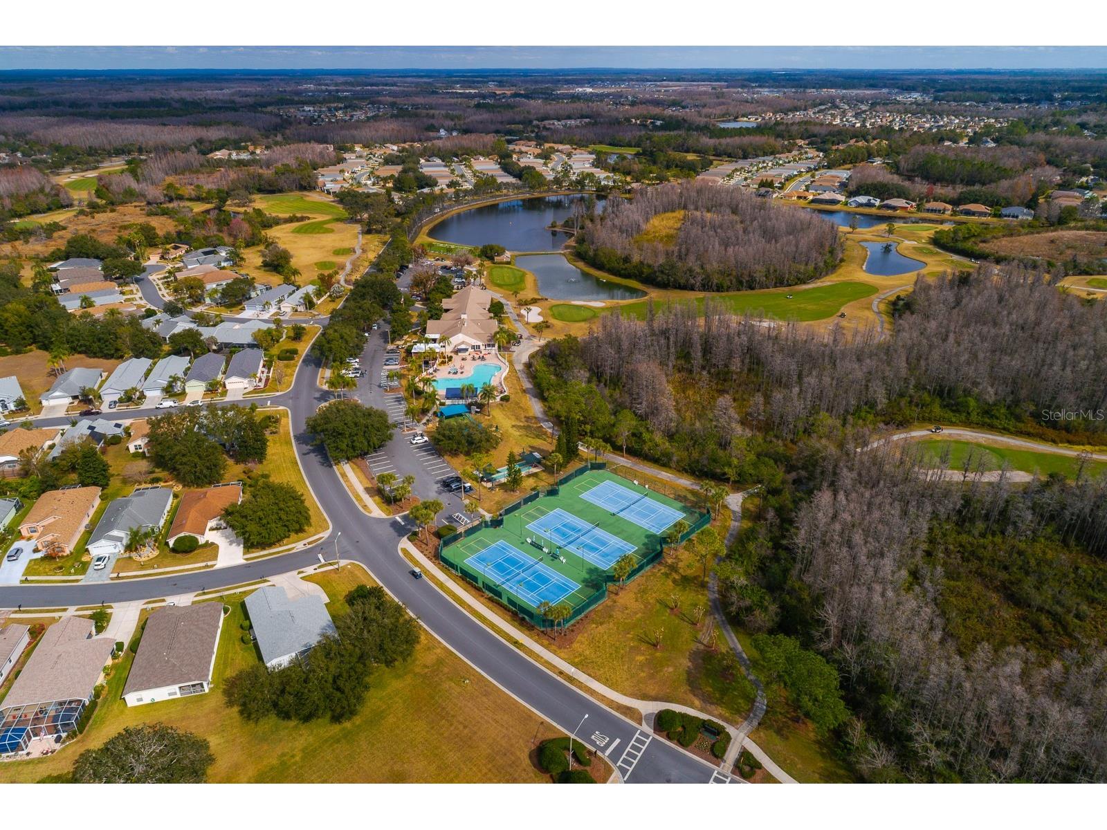 20520 Homossasa Court Land O Lakes FL 34637 TB8467488 image51