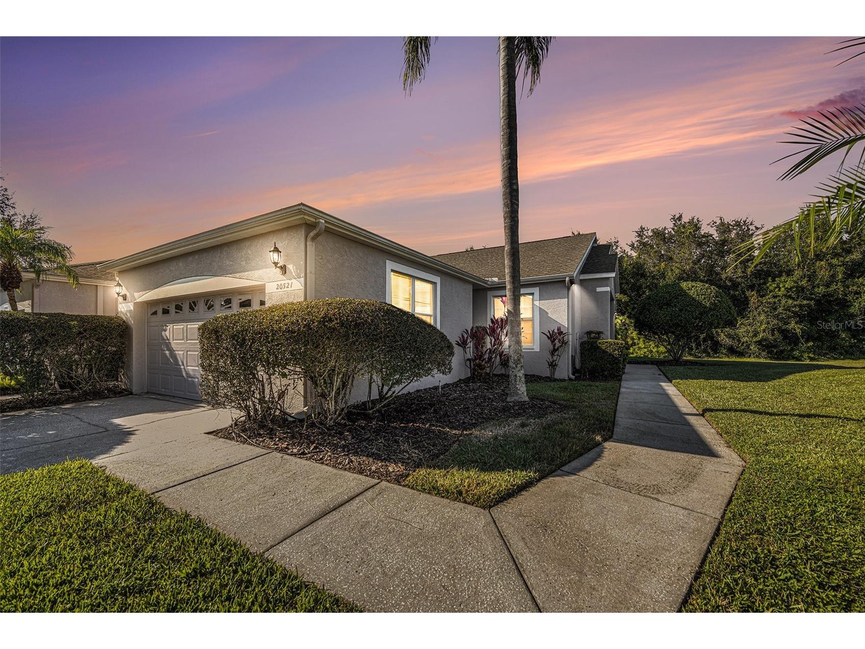 20521 Homossasa Court Land O Lakes FL 34637 TB8445244 image1