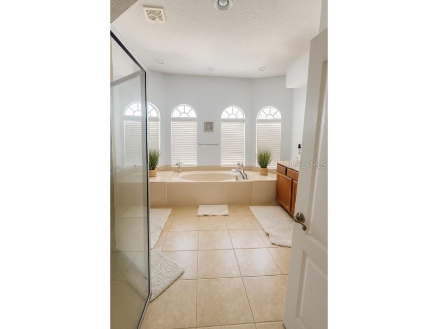 20524 Reynolds Parkway Orlando FL 32833 O6344868 image14