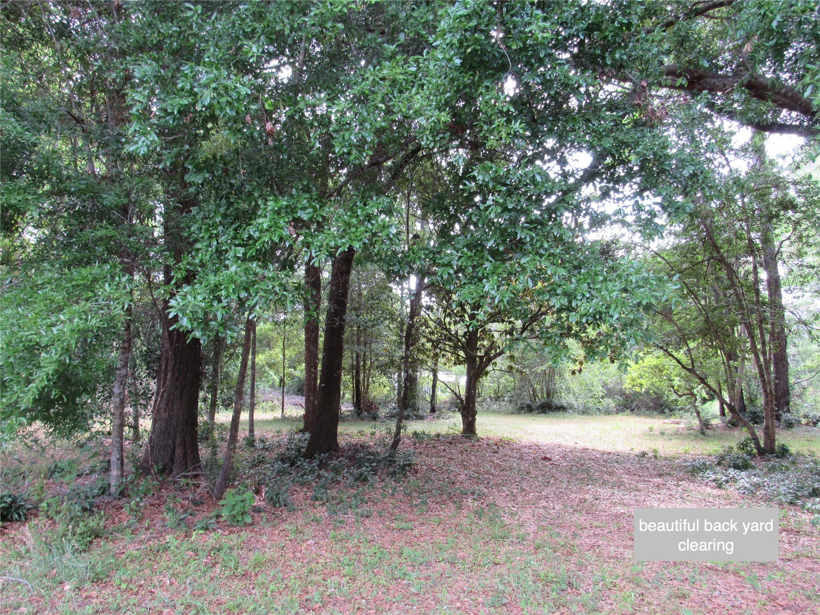 20526 N State Road 121 Alachua FL 32615 GC537330 image7