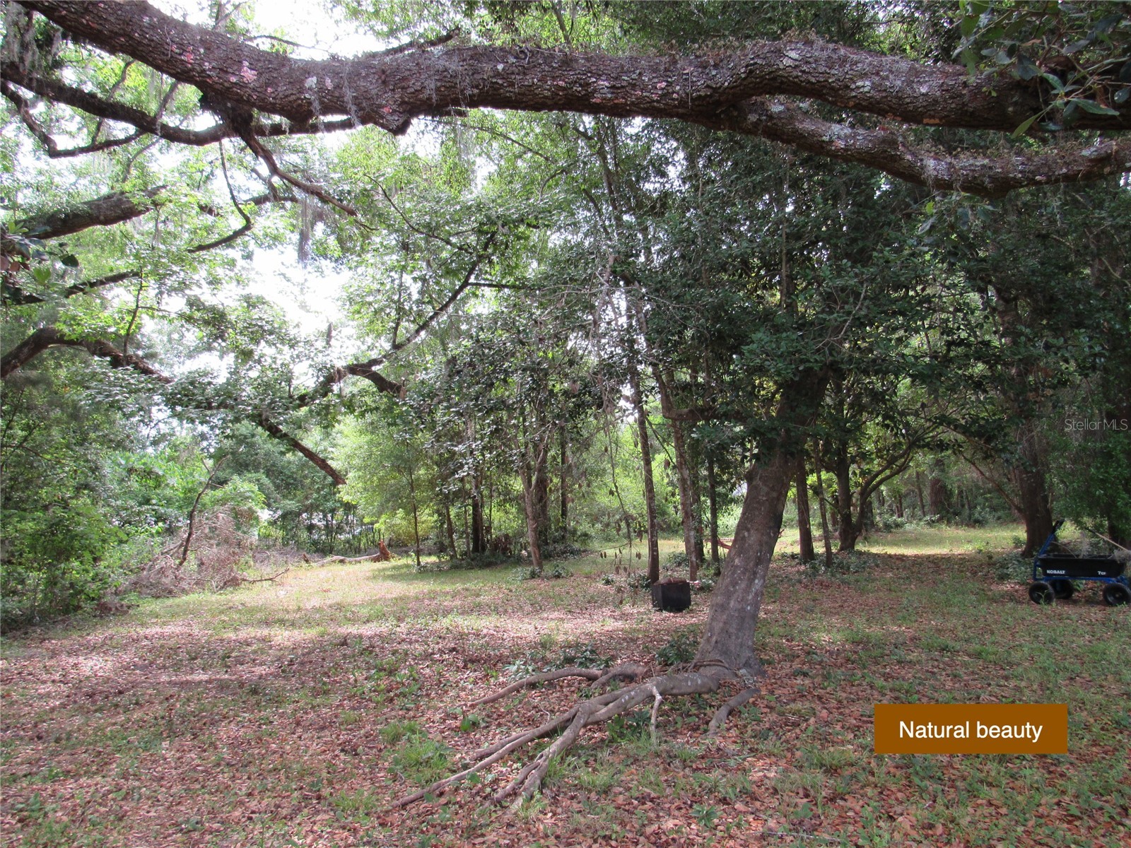 20526 N State Road 121 Alachua FL 32615 GC537330 image8