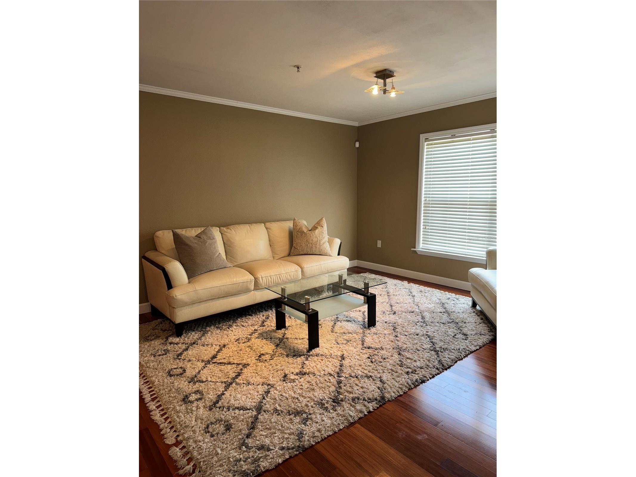 2053 Dixie Belle Drive #2053P Orlando FL 32812 O6407881 image8