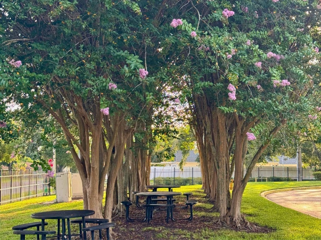 2053 Dixie Belle Drive #E Orlando FL 32812 O6330456 image15