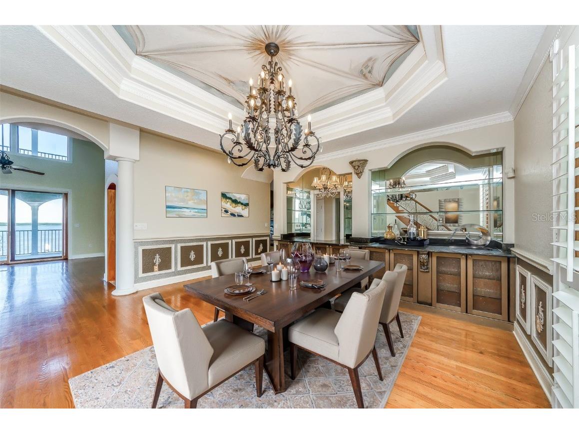 2053 N Pointe Alexis Drive Tarpon Springs FL 34689 TB8452350 image21