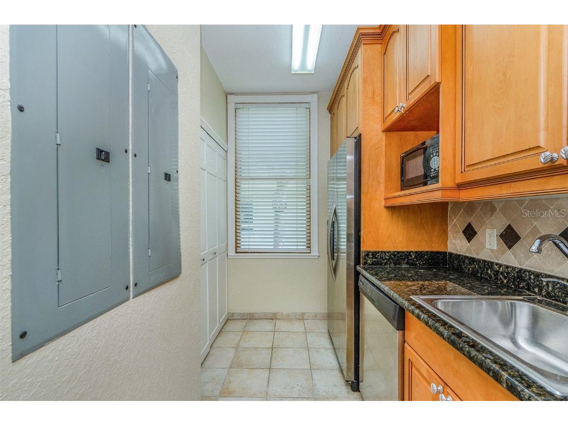 2053 N Pointe Alexis Drive Tarpon Springs FL 34689 TB8452350 image24