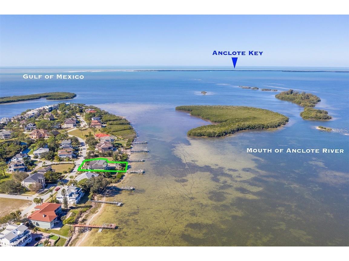 2053 N Pointe Alexis Drive Tarpon Springs FL 34689 TB8452350 image60