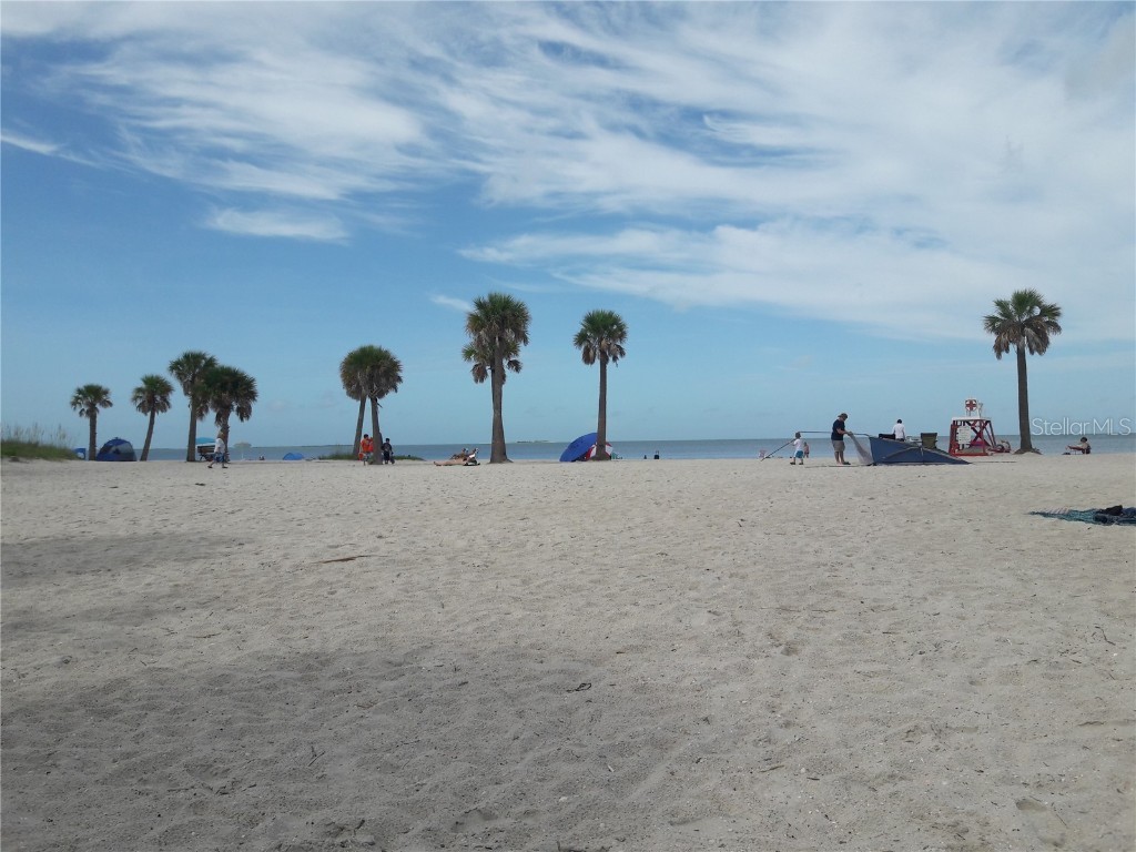 2053 N Pointe Alexis Drive Tarpon Springs FL 34689 TB8452350 image67