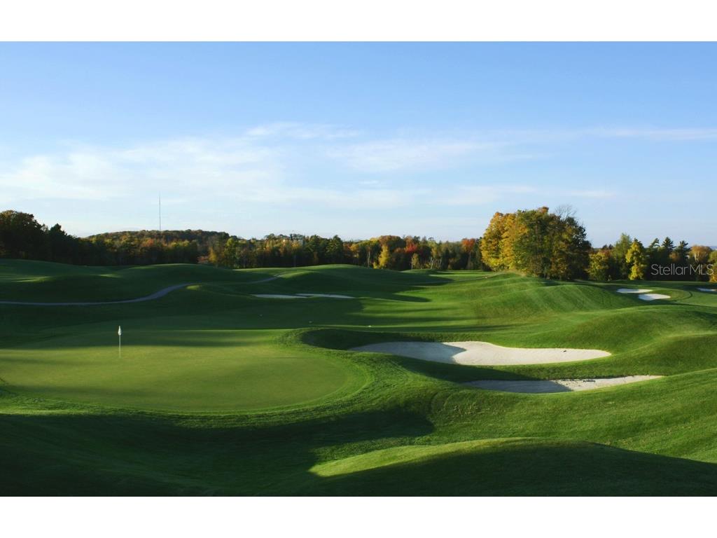 2053 N Pointe Alexis Drive Tarpon Springs FL 34689 TB8452350 image70