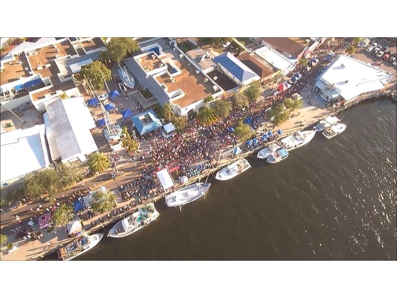 2053 N Pointe Alexis Drive Tarpon Springs FL 34689 TB8452350 image71