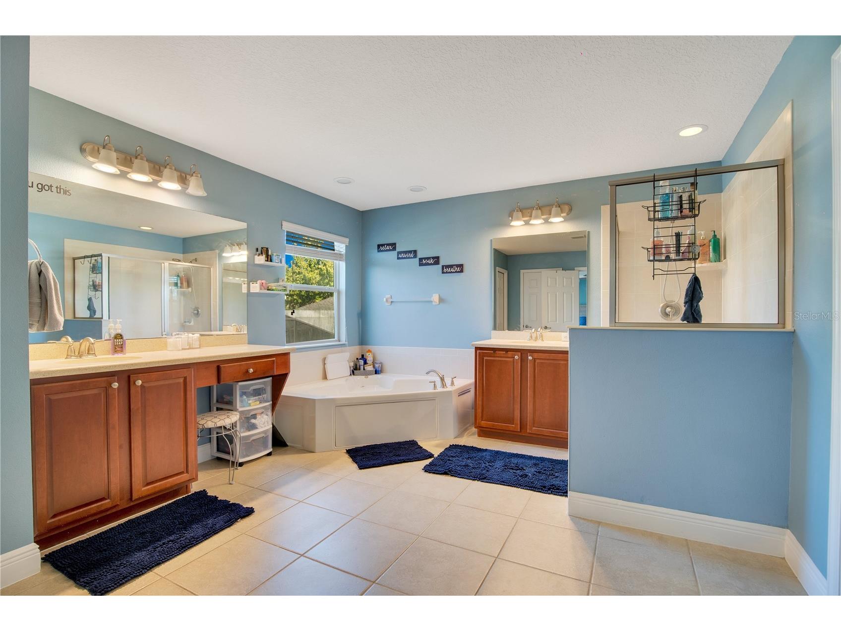 2053 Nobscot Place Apopka FL 32703 O6399273 image12