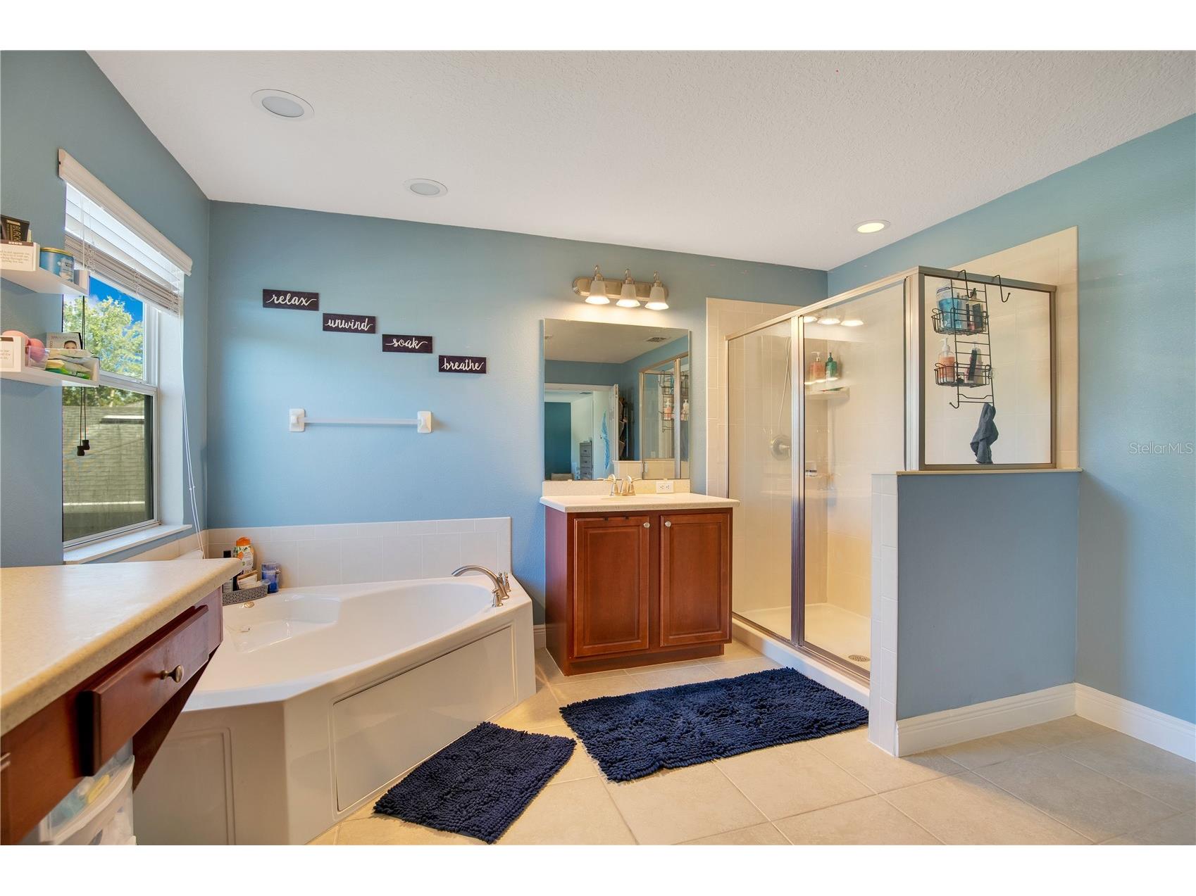 2053 Nobscot Place Apopka FL 32703 O6399273 image13