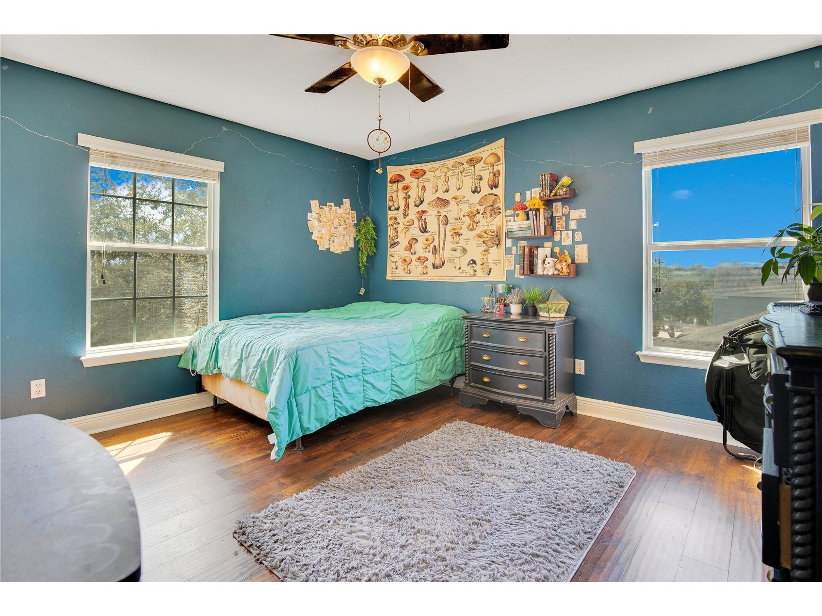 2053 Nobscot Place Apopka FL 32703 O6399273 image17